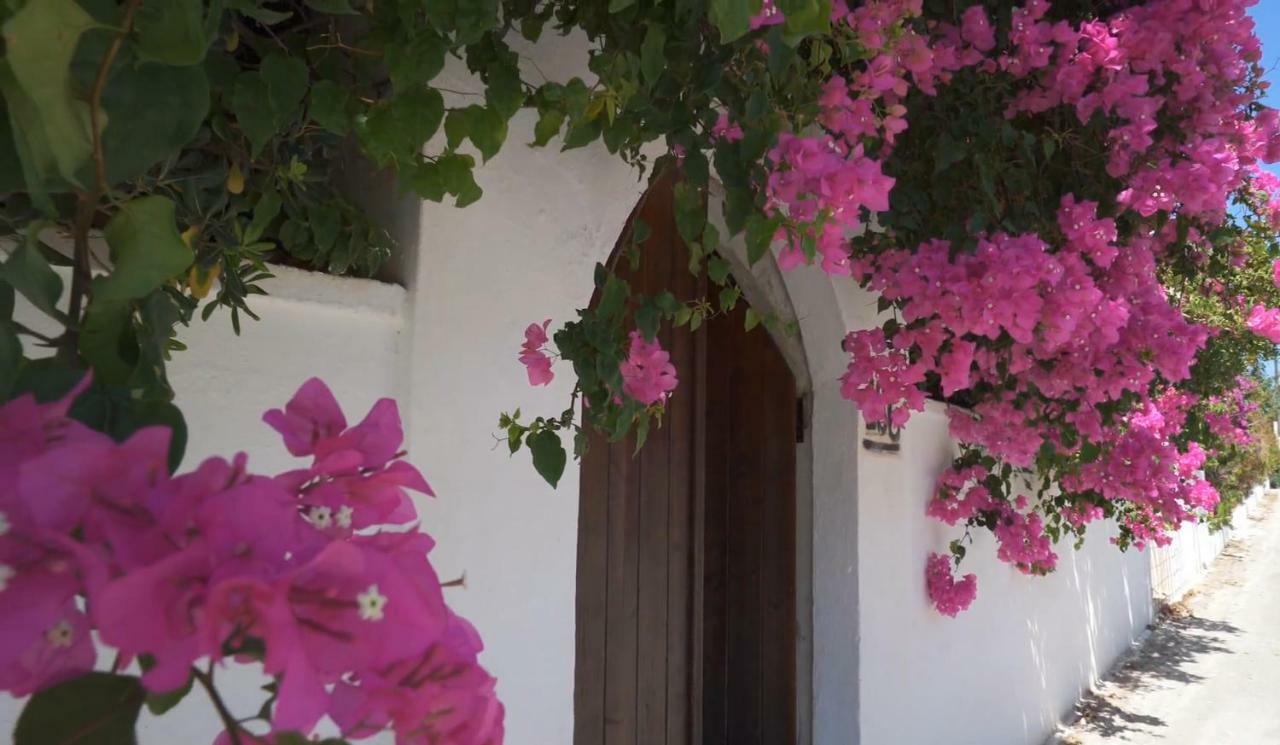 Alexiszorba Villa Плака Екстер'єр фото